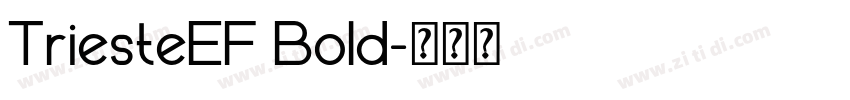 TriesteEF Bold字体转换